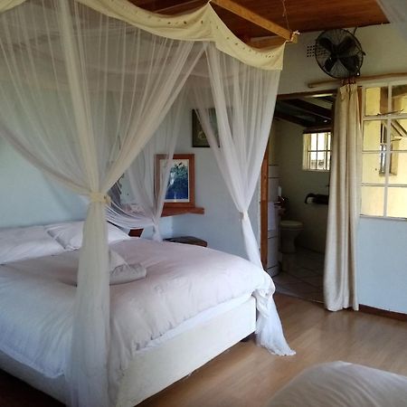 Hotel Bushwhacked Barberton Chambre photo