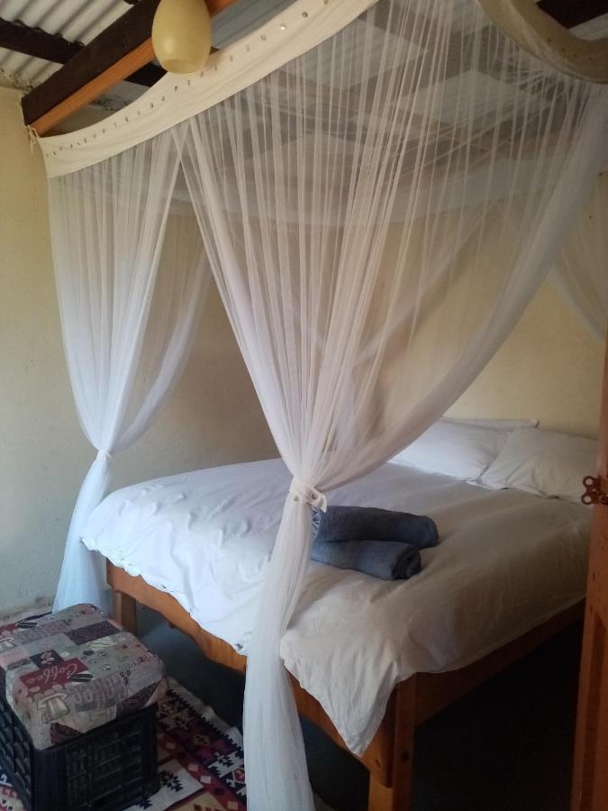 Hotel Bushwhacked Barberton Extérieur photo