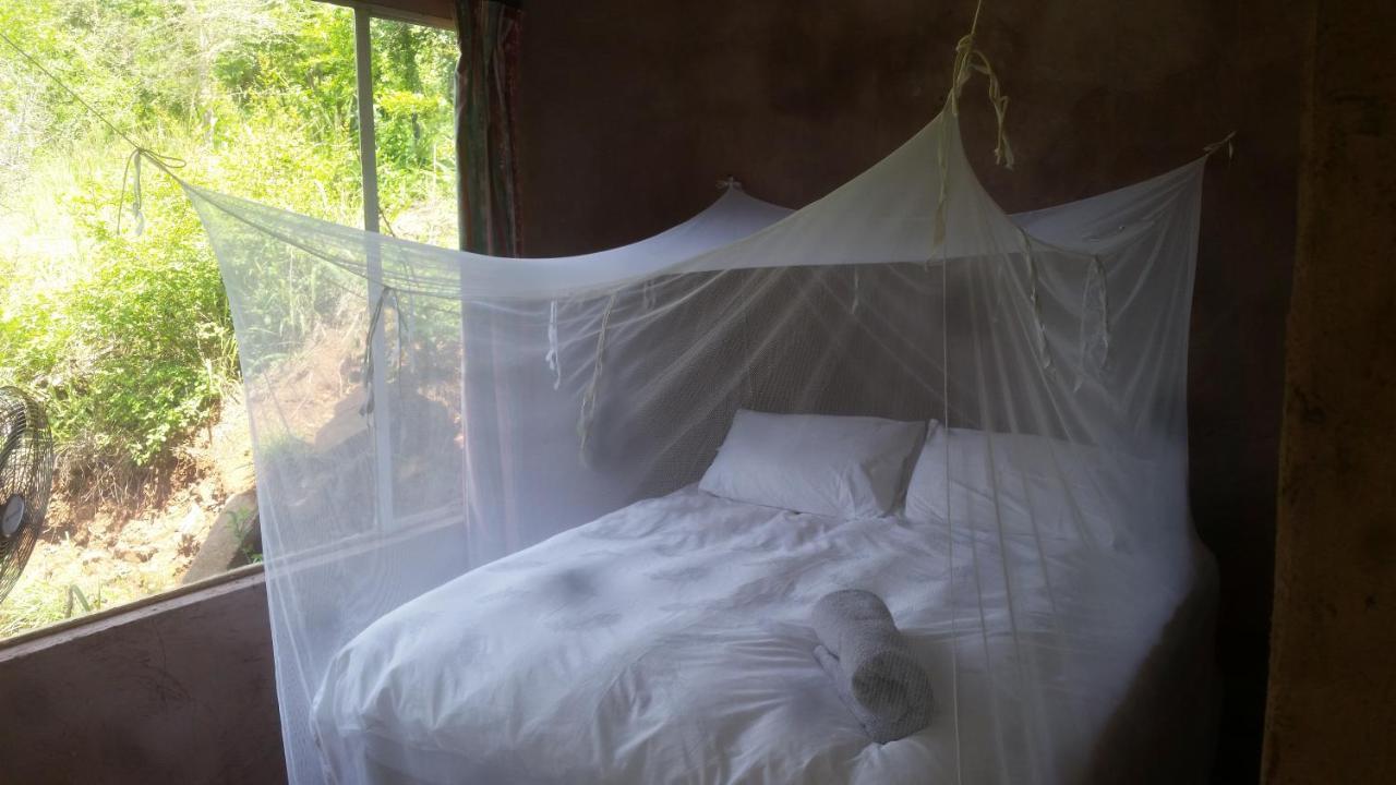 Hotel Bushwhacked Barberton Extérieur photo